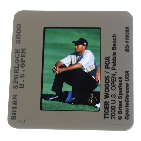 Tiger Woods Color Photo Negative - Brian Spurlock 2000 US Open/PGA 2000