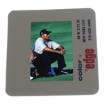 Tiger Woods Color Photo Negative - Brian Spurlock 2000 US Open/PGA 2000