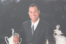 Tiger Woods Grand Slam Trophies Poster 