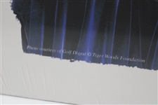 Tiger Woods Grand Slam Trophies Poster 