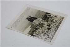1958 Arnold Palmer on 18th Green Masters AP Wire Photo