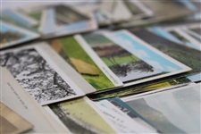 One-Hundred (100) Vintage Used & Unused Golf Postcards - Clubhouses, Courses & more