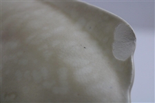 Crown Ducal Humorous Golf Scene Shell Shaped Dish w/Chip To Rear