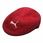 Bryson Dechambeau COBRA PUMA Hat in Box with COA - Size L