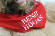 Benji Hogan Golf Club Head Cover