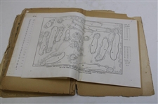 H.G. Picard's Personal Newspaper/Articles Scrapbook - 1939 PGA Championship Win