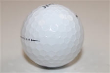 Terry Dill Signed Wilson Staff Woodlake Golf Club Logo 53 Golf Ball JSA ALOA