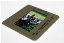 Tiger Woods Color Photo Negative - Joe Robbins 2001 PGA Tour/Western Open w/Handwritten Tiger Woods