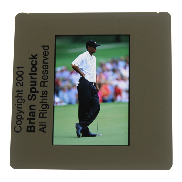 Tiger Woods Color Photo Negative - Brian Spurlock 2001