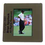 Tiger Woods Color Photo Negative - Brian Spurlock 2001