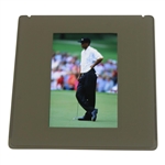 Tiger Woods Color Photo Negative - Brian Spurlock 2001