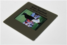 Tiger Woods Color Photo Negative - Brian Spurlock 2001