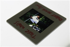 Tiger Woods Color Photo Negative - Handwritten Tiger Woods Robert Seale/Bn