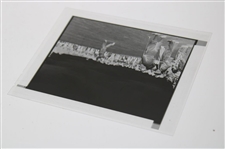 Original Negative Of Bobby Jones Swinging With Gene Sarazen To The Side At 1947 Masters From John Anderson