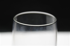 Augusta National Golf Club Clubhouse Champagne Glass