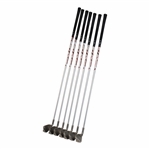 Chi Chi Rodriguez's Personal Ping Karsten Iron Set (5-U) 