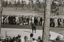 1920's Walter Hagen 'Putting at the North and South Tournament at Pinehurst' Photo