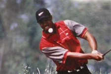 Champion Tiger Woods Signed 1998 Bellsouth Classic Official Used Scorecard - Framed