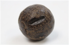 Smooth Gutta Percha Golf Ball