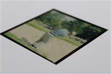 Jack Nicklaus 1967 Bunker Shot Safety Film Photo Negative - Westchester Classic