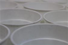 Fifteen (15) Masters Tournament Logo Plastic Drink Cups - 1989