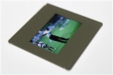 Tiger Woods Color Photo Negative - Brian Spurlock 2001