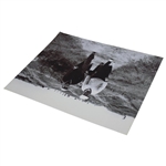 Arnold Palmer & Jack Nicklaus Walking at 1965 The OPEN at Royal Birkdale 16x20 B&W Photo 