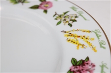 2015 Augusta National Golf Club Ltd Ed Masters Gift Tiffany & Co Beautification Plate