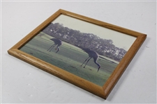 Two (2) Cranes On Golf Course Photo - Framed