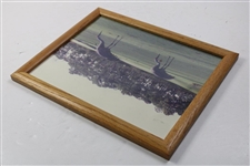Two (2) Cranes On Golf Course Photo - Framed