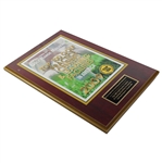 Top 100 Golf Practice Centers Award 2009