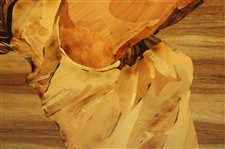 Marquetry Portrait of Marle Bauer Hagge by Tony Jacklin - WGHoF Collection