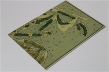 c.1920 Pinehurst Country Club Courses Layout  Map