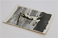Bobby Jones Original Post-Swing Photo Used for Artwork in Alex Morrison Book