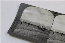 Enjoying Golf in Anchorage, Alaska Keystone View Company Stereo View Card 1082