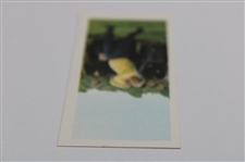 1971 Jack Nicklaus Barratt Goldflake Famous Sportsmen Rookie Card No.6 