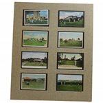 Eight (8) Matted Vintage Golfing Post Cards