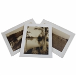 Three (3) Sepia Photos Of Pine Valley