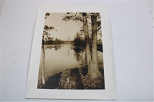 Three (3) Sepia Photos Of Pine Valley