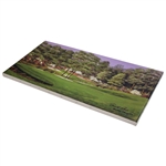 Masters Amen Corner Canvas Print w/Facsimile 'Arnold Palmer Masters Champion' 1/1 Color Proof 