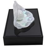 Champion Jan Stephenson's 1987 Safeco Classic Rare Dale Chihuly Oyster Glass Trophy 