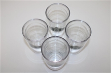 Four (4) 16oz Augusta National Golf Club Clubhouse Tervis Tumblers