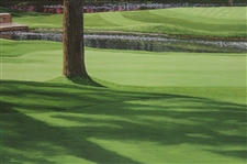 Augusta National 15th Hole Firethorn Linda Hartough Textured Canvas Print - Framed
