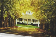 Tree Lined Magnolia Lane to Augusta National Golf Club Clubhouse Framed Print