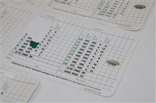 Player, Wall, Faldo, Coody & Goalby Signed Augusta National GC Scorecards JSA ALOA