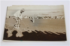 Twelve (12) Jack Nicklaus Photos - Trophies, Action, Press, Wire & other