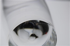Mark Calcavecchia's 1993 Masters Tournament Hole No. 15 Steuben Crystal Eagle Glass