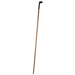 Splice Neck Putter Walking Stick