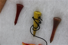 Eighteen (18) Various Classic & Vintage Golf Tees in Protective Display