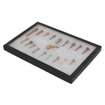 Eighteen (18) Various Classic & Vintage Golf Tees in Protective Display